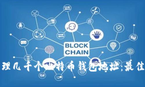 如何安全管理几千个比特币钱包地址：最佳实践与技巧