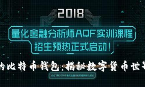 终于看到了真的比特币钱包：揭秘数字货币世界的真实与神秘