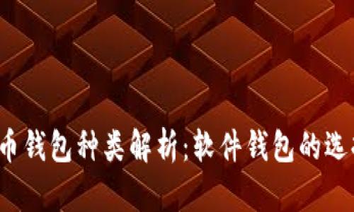 2023年比特币钱包种类解析：软件钱包的选择与使用指南