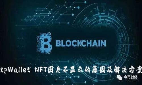 tpWallet NFT图片不显示的原因及解决方案