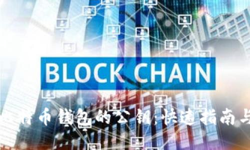 如何查看比特币钱包的公钥：快速指南与安全提示