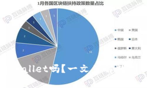 ### 美国ID可以使用tpWallet吗？一文了解数字钱包与美国身份证的结合