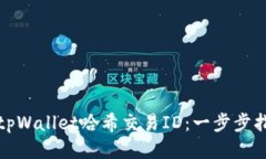 如何查找tpWallet哈希交易