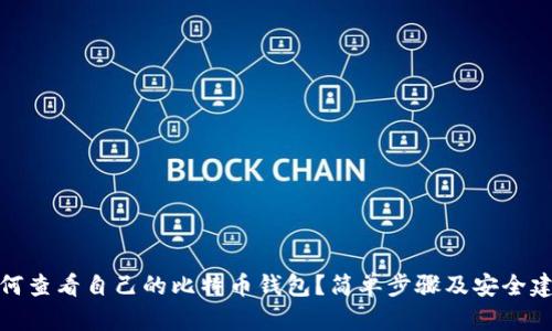 如何查看自己的比特币钱包？简单步骤及安全建议