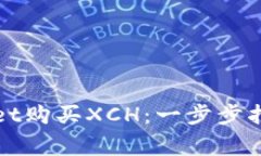 如何在tpWallet购买XCH：一步