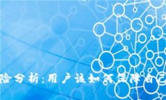 tpWallet风险分析：用户该如