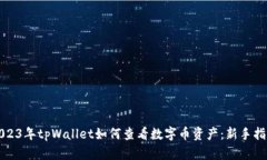 2023年tpWallet如何查看数字