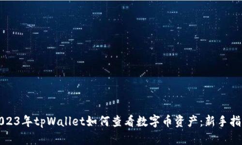 2023年tpWallet如何查看数字币资产：新手指南