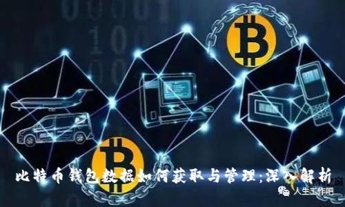 比特币钱包数据如何获取与管理：深入解析