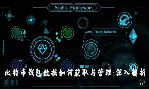 比特币钱包数据如何获取与管理：深入解析