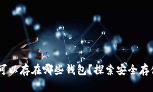 USDT可以存在哪些钱包？探索安全存储选项