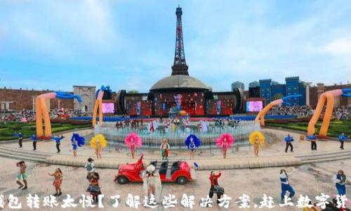 
比特币钱包转账太慢？了解这些解决方案，赶上数字货币的快车