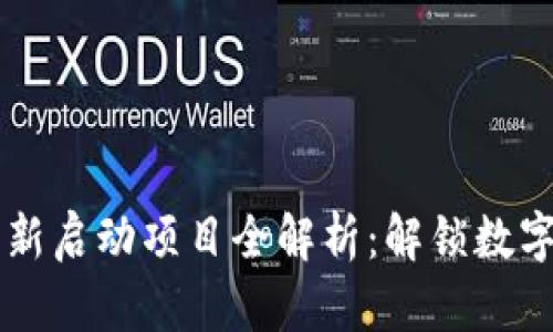 区块链钱包新启动项目全解析：解锁数字资产的未来
