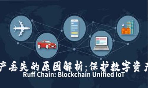 tpWallet资产丢失的原因解析：保护数字资产的最佳实践