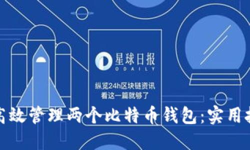 一台电脑如何高效管理两个比特币钱包：实用技巧和安全建议