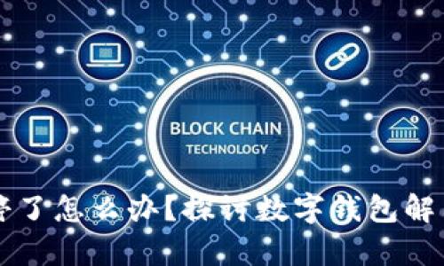 tpWallet关停了怎么办？探讨数字钱包解困与替代方案