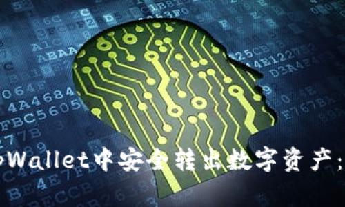如何在tpWallet中安全转出数字资产：新手指南