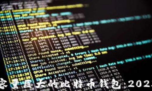 
如何选择安全且容量巨大的比特币钱包：2023年最佳选择指南