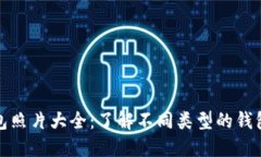 比特币钱包照片大全：了