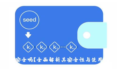 tpWallet安全吗？全面解析其安全性与使用注意事项