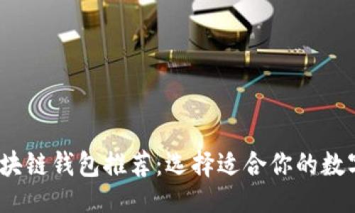 ```xml
2023年最佳区块链钱包推荐：选择适合你的数字资产管理工具