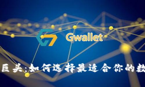 tpWallet三巨头：如何选择最适合你的数字资产钱包