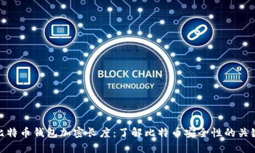 比特币钱包加密长度：了解比特币安全性的关键