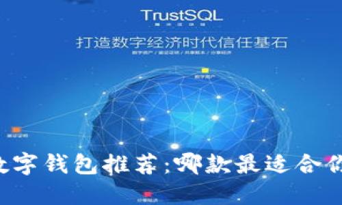 区块链数字钱包推荐：哪款最适合你的需求？