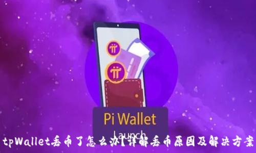  
tpWallet丢币了怎么办？详解丢币原因及解决方案