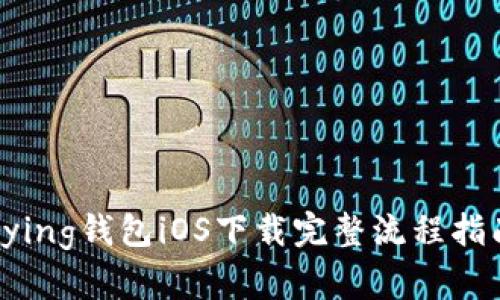 bying钱包iOS下载完整流程指南