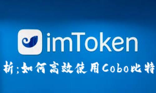 全面解析:如何高效使用Cobo比特币钱包