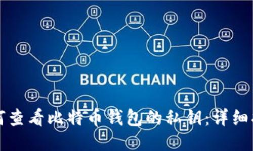 如何查看比特币钱包的私钥:详细指南