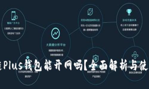 区块链Plus钱包能开网吗？全面解析与使用指南