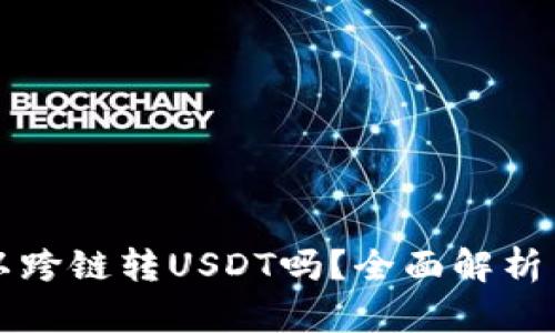 TP钱包可以跨链转USDT吗？全面解析与操作指南