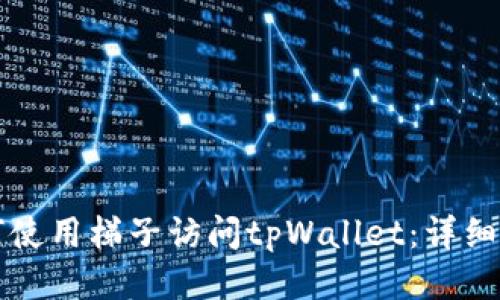 如何使用梯子访问tpWallet：详细指南