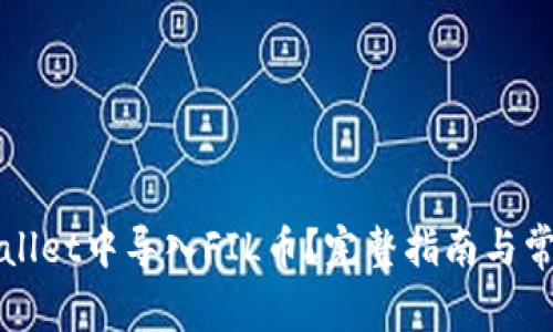 如何在tpWallet中导入FIL币？完整指南与常见问题解答