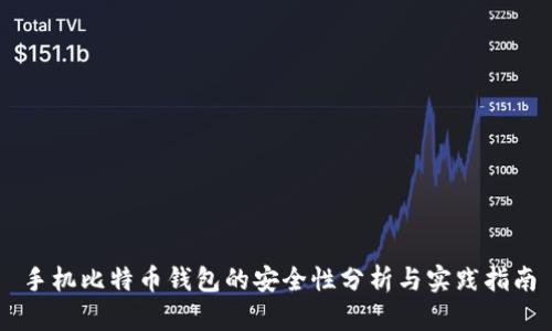 手机比特币钱包的安全性分析与实践指南