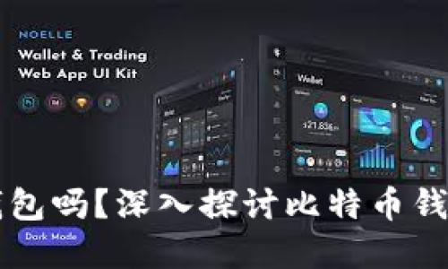 比特币一定需要钱包吗？深入探讨比特币钱包的重要性与功能