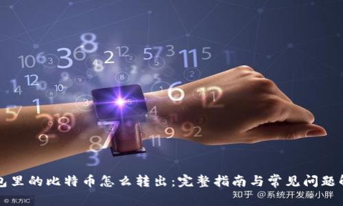 钱包里的比特币怎么转出：完整指南与常见问题解答