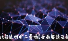 tpWallet能追回旷工费吗？全