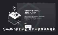 tpWallet能量租赁：新兴区块