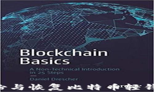 
如何有效备份与恢复比特币轻钱包：全面指南