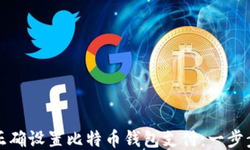 
如何正确设置比特币钱包支付：一步步指南