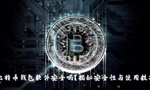 比特币钱包软件安全吗?揭秘安全性与使用技巧