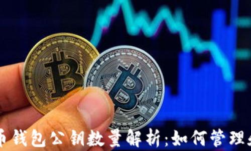 
比特币钱包公钥数量解析：如何管理和使用