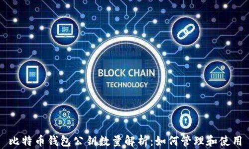 
比特币钱包公钥数量解析：如何管理和使用