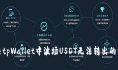 如何解决tpWallet中波场USDT无法转出的常见问题